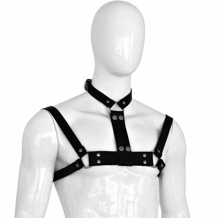 Harness
