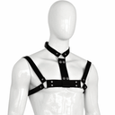 Harness